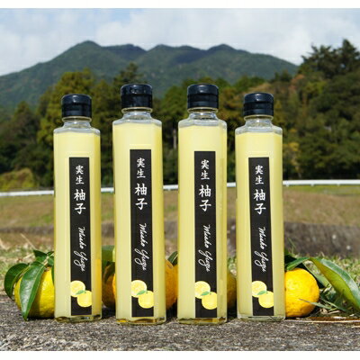 75位! 口コミ数「0件」評価「0」実生ゆず果汁　200ml 4本入り【配送不可地域：離島】【1135670】