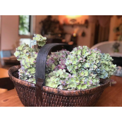 徳島県牟岐町の画像2