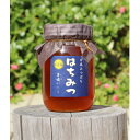 【ふるさと納税】牟岐ハニー 日本ミツバチの百花蜜 600g【1433970】