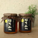 【ふるさと納税】牟岐ハニー 日本ミツバチの百花蜜 300g×2【1661817】