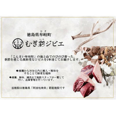 【ふるさと納税】むぎ彩ジビエ　猪スライスBBQ用とミンチ計600g 　徳島県牟岐町【配送不可地域：離島】【1706776】