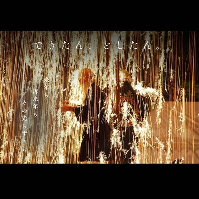 【ふるさと納税】【数量限定】赤松伝統奉納花火の特別招待券_徳島県美波町【大人2名様】