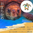【ふるさと納税】プレオープン記念 限定チケット(大人:18歳以上)ぬいぐるみ券+バッジセット 2名分