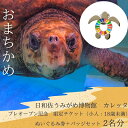 【ふるさと納税】プレオープン記念 限定チケット(小人:18歳未満)ぬいぐるみ券+バッチセット 2名分