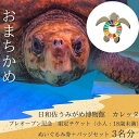 【ふるさと納税】プレオープン記念 限定チケット(小人:18歳未満)ぬいぐるみ券+バッチセット 3名分