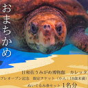 【ふるさと納税】プレオープン記念 限定チケット(小人:18歳未満)ぬいぐるみ券セット1名分