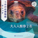 【ふるさと納税】日和佐うみがめ博物館カレッタ入館券【大人2名分】