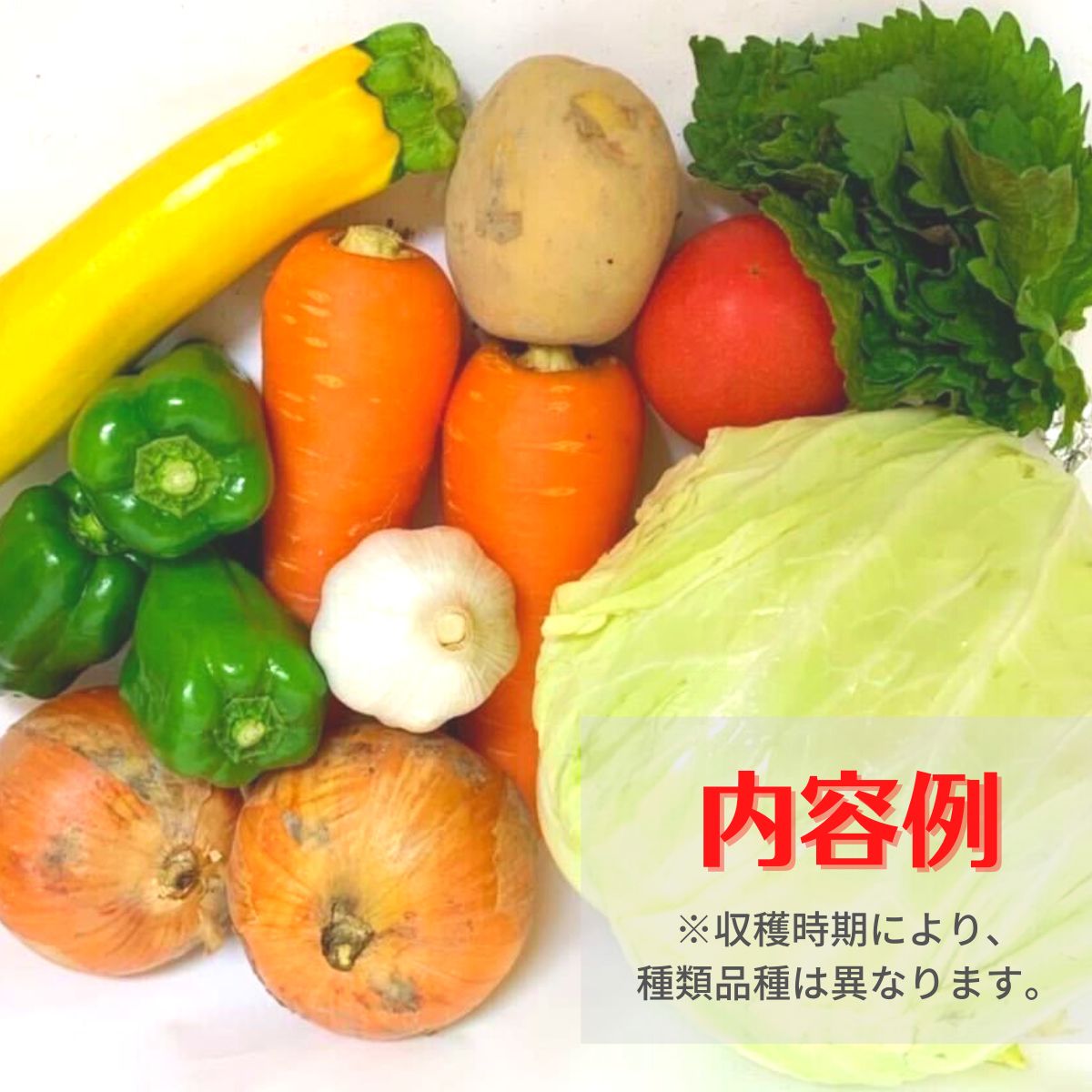 【ふるさと納税】 野菜 セット 季節の野菜 6〜9品 産地直送 新鮮 採れたて 新鮮 お試し