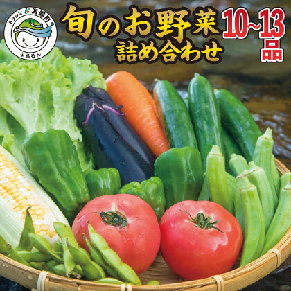 野菜 セット 季節の野菜 10〜13品 大容量 産地直送 お試し 新鮮