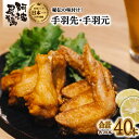 【ふるさと納税】手羽先 手羽元 セット 唐揚げ 地鶏 阿波尾