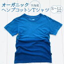 レディースファッション人気ランク5位　口コミ数「2件」評価「5」「【ふるさと納税】 シャツ Tシャツ 藍染 男女兼用 オーガニック ヘンプ コットン 藍 藍染め 海 空 水平線 ラッピング プレゼント」