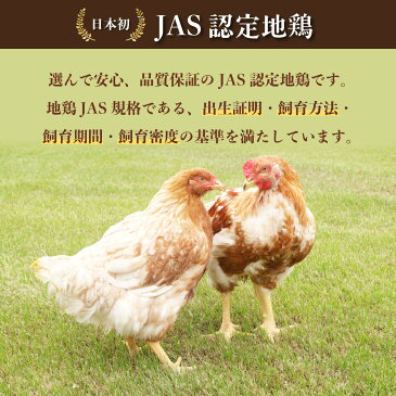 【ふるさと納税】 阿波尾鶏 焼鳥 40本 手羽元 1kg セット 冷凍 鶏肉 焼き鳥 徳島 地鶏 あわおどり