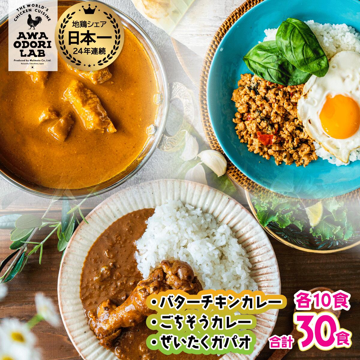 【ふるさと納税】旅する阿波尾鶏シリーズ 3種 各10食入 計30食 バターチキンカレー ごちそうカレー ぜいたくガパオ カレー ガパオ 常温 レトルト