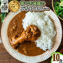 【ふるさと納税】 カレー レトルト 阿波尾鶏 10食入り 骨