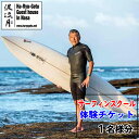 楽天徳島県海陽町【ふるさと納税】 波流月 サーフィン スクール 体験 チケット （1名様分） マリンスポーツ 四国 徳島 徳島県 海陽 海陽町 宍喰 那佐 体験チケット 観光