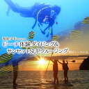 【ふるさと納税】 体験 ダイビング ビーチ SUP サンセットクルージング (1名様分/器材レンタル込) 海底少年 ダイビング アクティビティ..