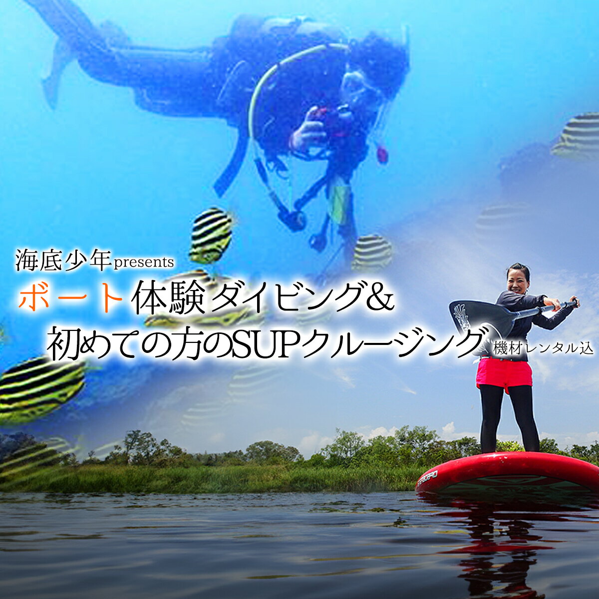 楽天徳島県海陽町【ふるさと納税】 体験 ダイビング ボート SUP 体験 （1名様分/器材レンタル込） 海底少年 ダイビング SUP初心者向け アクティビティ マリンアクティビティ マリンスポーツ サップ 海 四国 徳島 徳島県 海陽 海陽町