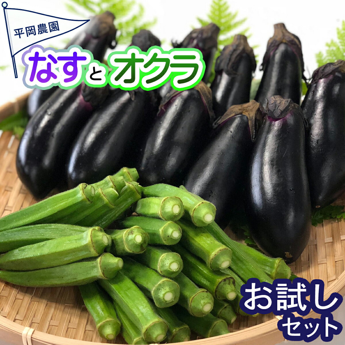 先行予約 夏野菜 詰め合わせ お試し セット なす おくら 野菜 茄子 ナス オクラ 産地直送 天敵栽培 期間限定 【2024年7月以降発送】