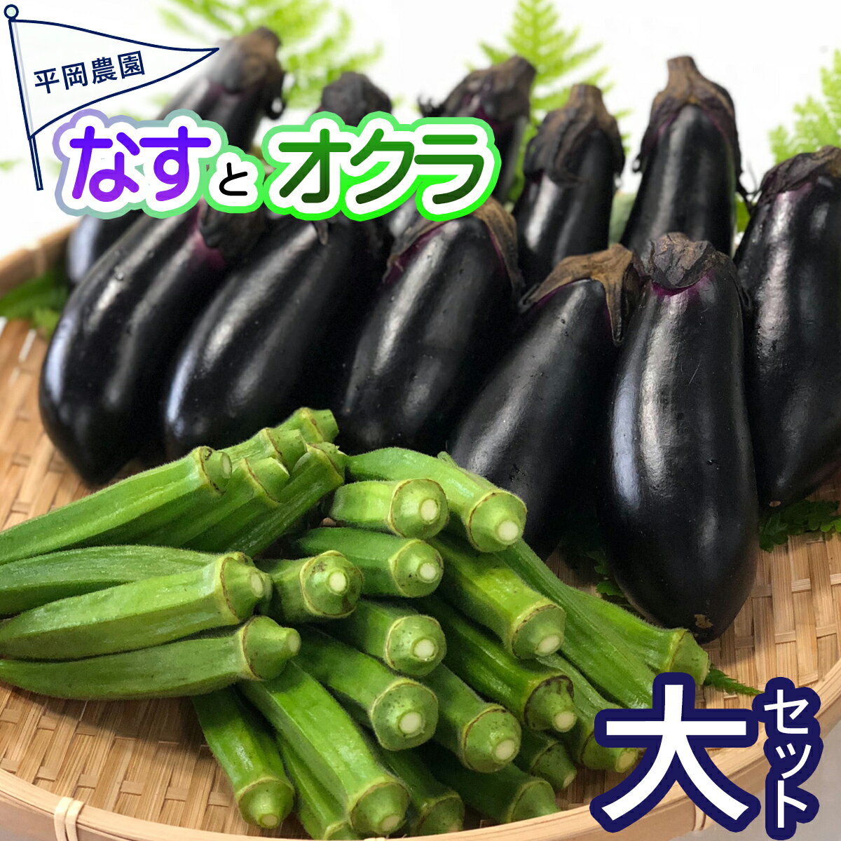 【ふるさと納税】 先行予約 夏野菜 詰め合わせ 大セット な