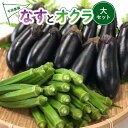 【ふるさと納税】夏野菜 詰め合わせ 大セット なす おくら 野菜 茄子 ナス オクラ 産地直送 天敵栽培 【2026年7月以降順次発送】