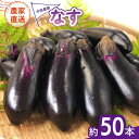 【ふるさと納税】なす 約50本 茄子 ナス 産地直送 天敵栽培 【2026年7月以降順次発送】