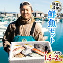【ふるさと納税】 鮮魚 セット 約2kg 鮮魚セット 詰め合わせ 魚 海鮮 海の幸 朝獲れ とれとれ 新鮮 お試し(4)