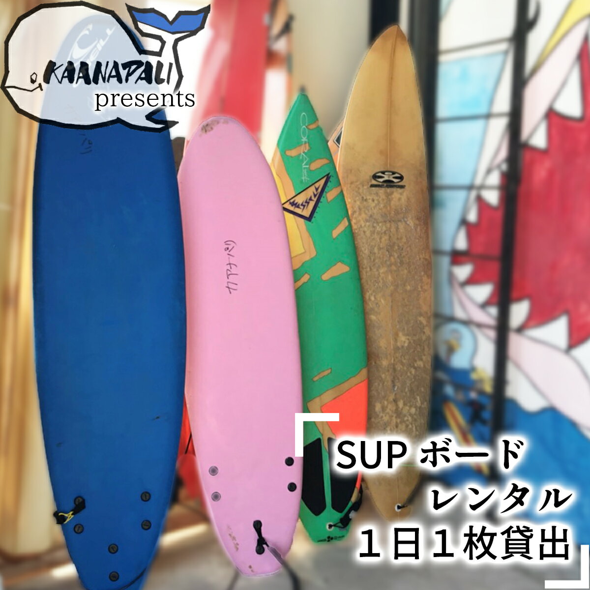 【ふるさと納税】 SUP ボード レンタル (1枚1日貸出) カアナパリ サーフィン 体験 アクティビティ マリンアクティビティ マリンスポーツ サップ 四国 徳島 徳島県 海陽 海陽町