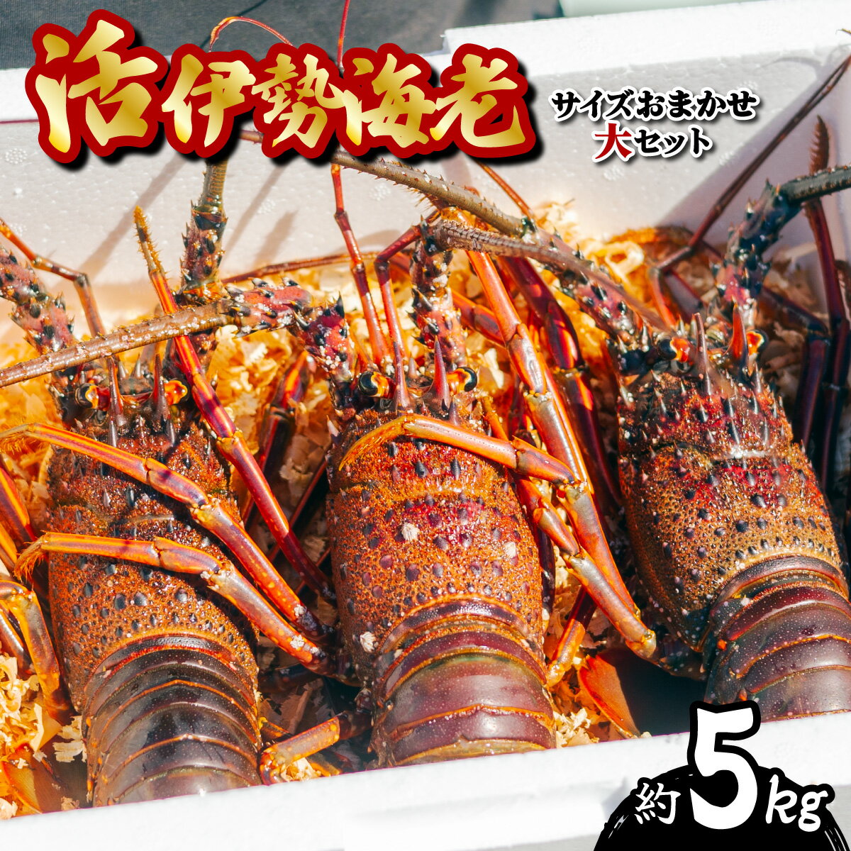 【ふるさと納税】 箱詰め伊勢海老サイズおまかせ大セット(約5.0kg) 伊勢海老 活伊勢海老 約5kg サイズ..