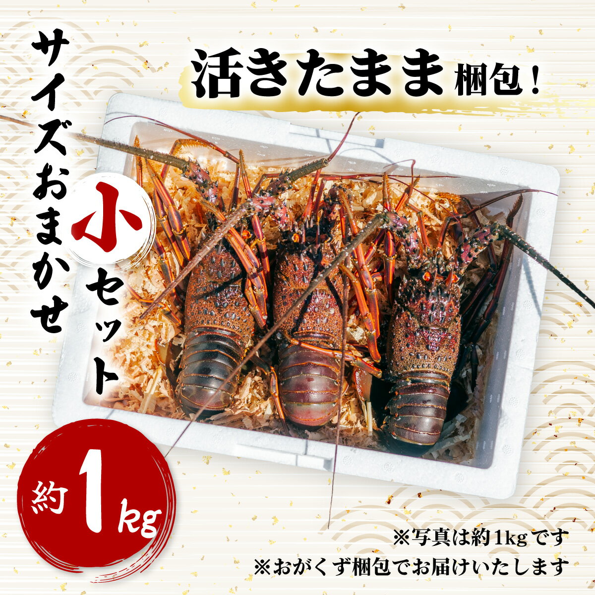 【ふるさと納税】 箱詰め伊勢海老サイズおまかせ小セット(約1.0kg) 伊勢海老 活伊勢海老 約1kg サイズおまかせ 伊勢えび 伊勢エビ いせえび イセエビ 季節限定 海老 えび エビ 高級 国産 海鮮 ギフト お正月