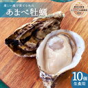 【ふるさと納税】 あまべ牡蠣 10個 牡蠣 生食用 殻付き かき カキ オイスター 生ガキ 生牡蠣 生がき 生かき ギフト 貝 シングルシード 旨味