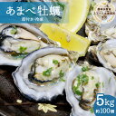 【ふるさと納税】 あまべ牡蠣 冷凍 5kg 牡蠣 シングルシード 生食用 殻付き かき カキ オイスター 生ガキ 生牡蠣 生がき 生かき