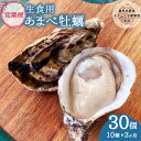 【ふるさと納税】【あまべ牡蠣 10個 3ヶ月連続定期便】あまべ牡蠣 10個 3ヶ月定期便 30個 牡蠣 シングルシード 生食用 殻付き かき カキ オイスター ...