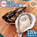 【ふるさと納税】【あまべ牡蠣 20個 6ヶ月連続定期便】あまべ牡蠣 20個 6ヶ月定期便 120個 牡蠣 シングルシード 生食用 殻付き かき カキ オイスター...