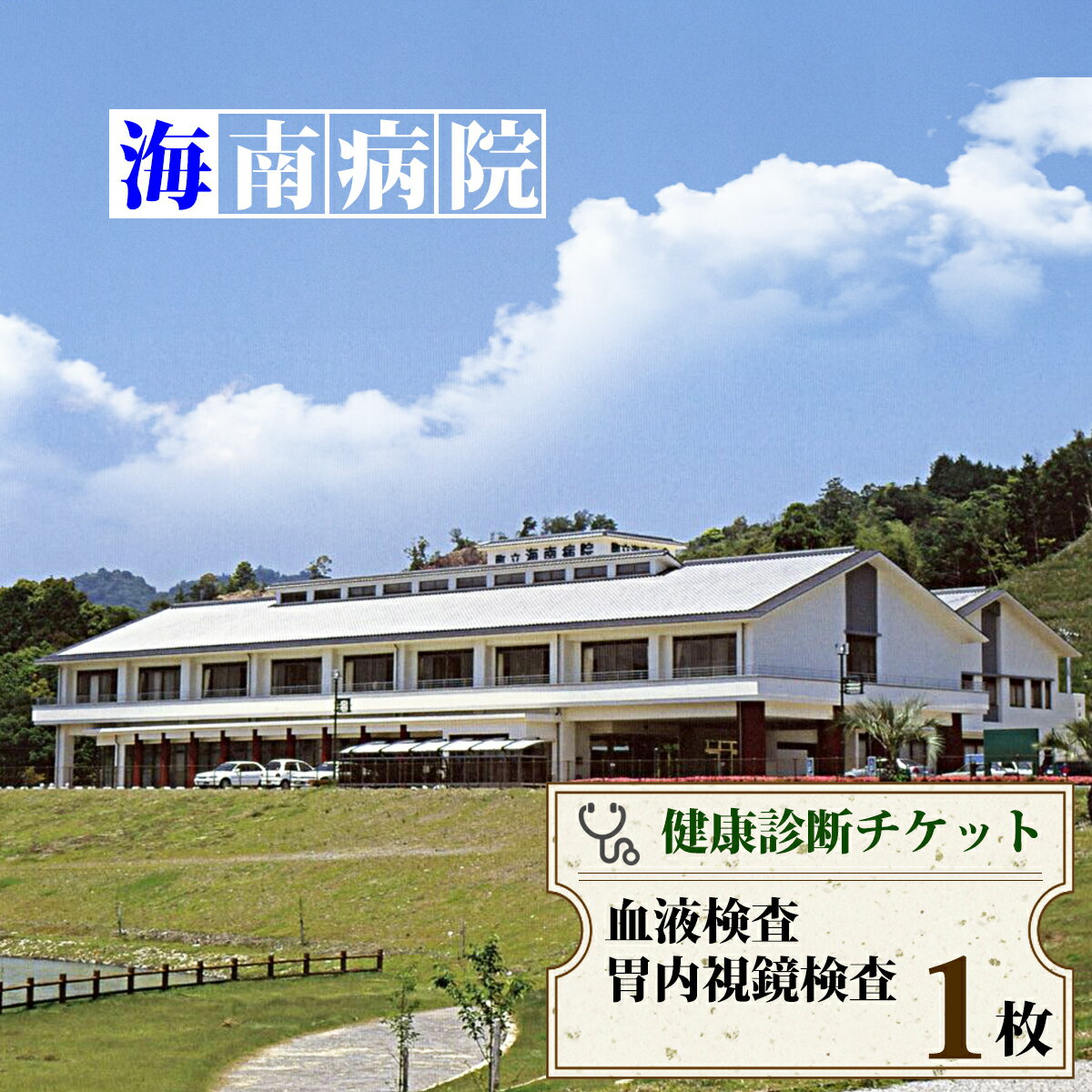 6位! 口コミ数「0件」評価「0」 胃内視鏡検査・血液検査チケット（1名様分） 海陽町立海南病院 健康診断 健康状態