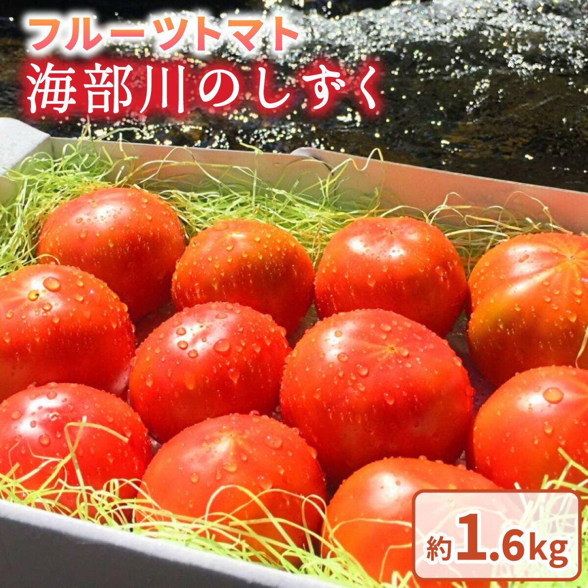 【ふるさと納税】フルーツトマト「海部川のしずく」約1.6kg トマト とまと