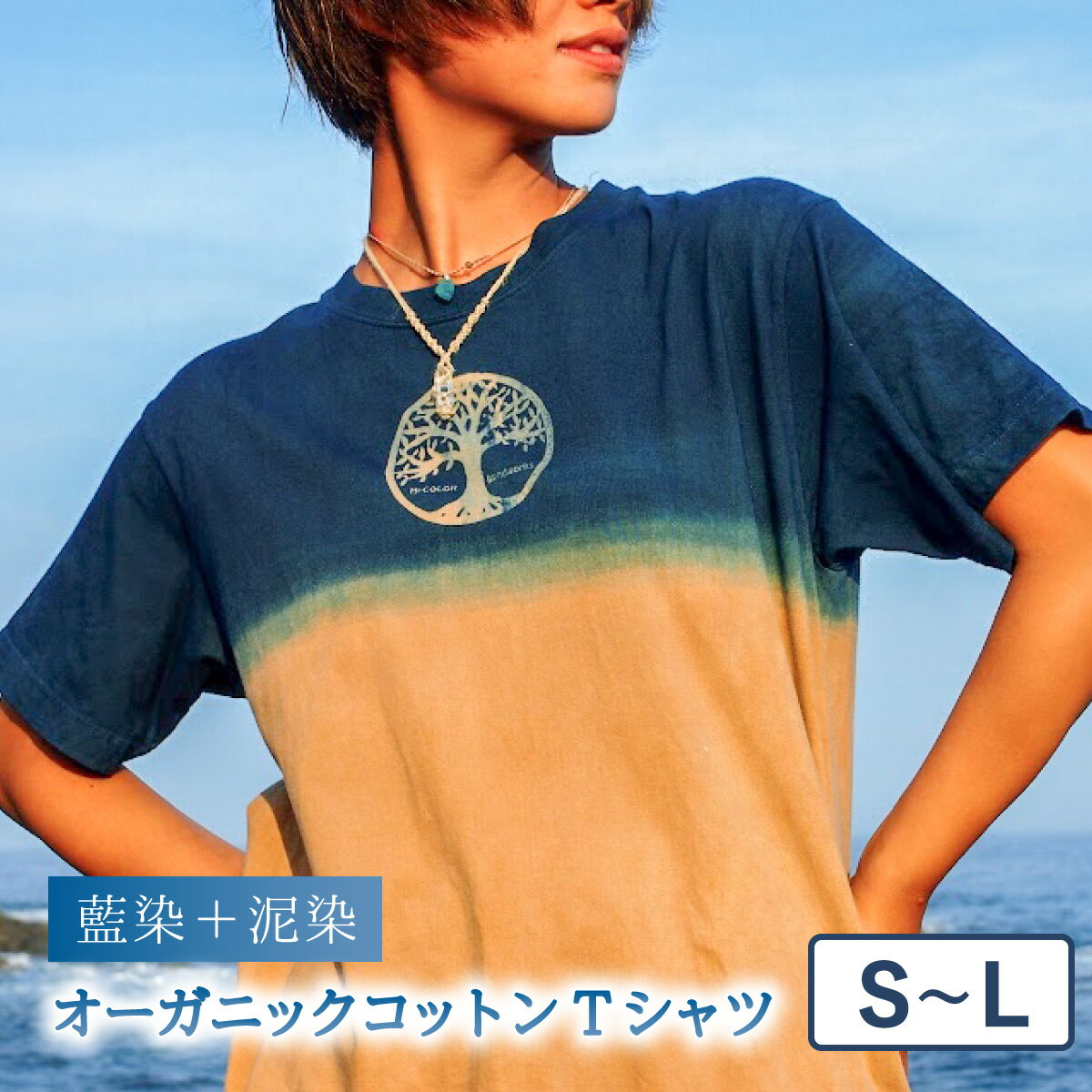 【ふるさと納税】 Tシャツ 藍染 泥染 S-Lサイズ オーガニックコットン 藍 藍染め 泥染め 宍喰祇園染 ...