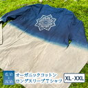 【ふるさと納税】 Tシャツ ロングスリーブ XL/XXLサイ