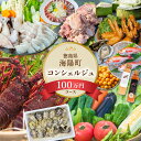 【ふるさと納税】 海陽町ふるさと納税コンシェルジュサービス<寄附金額100万円コース>