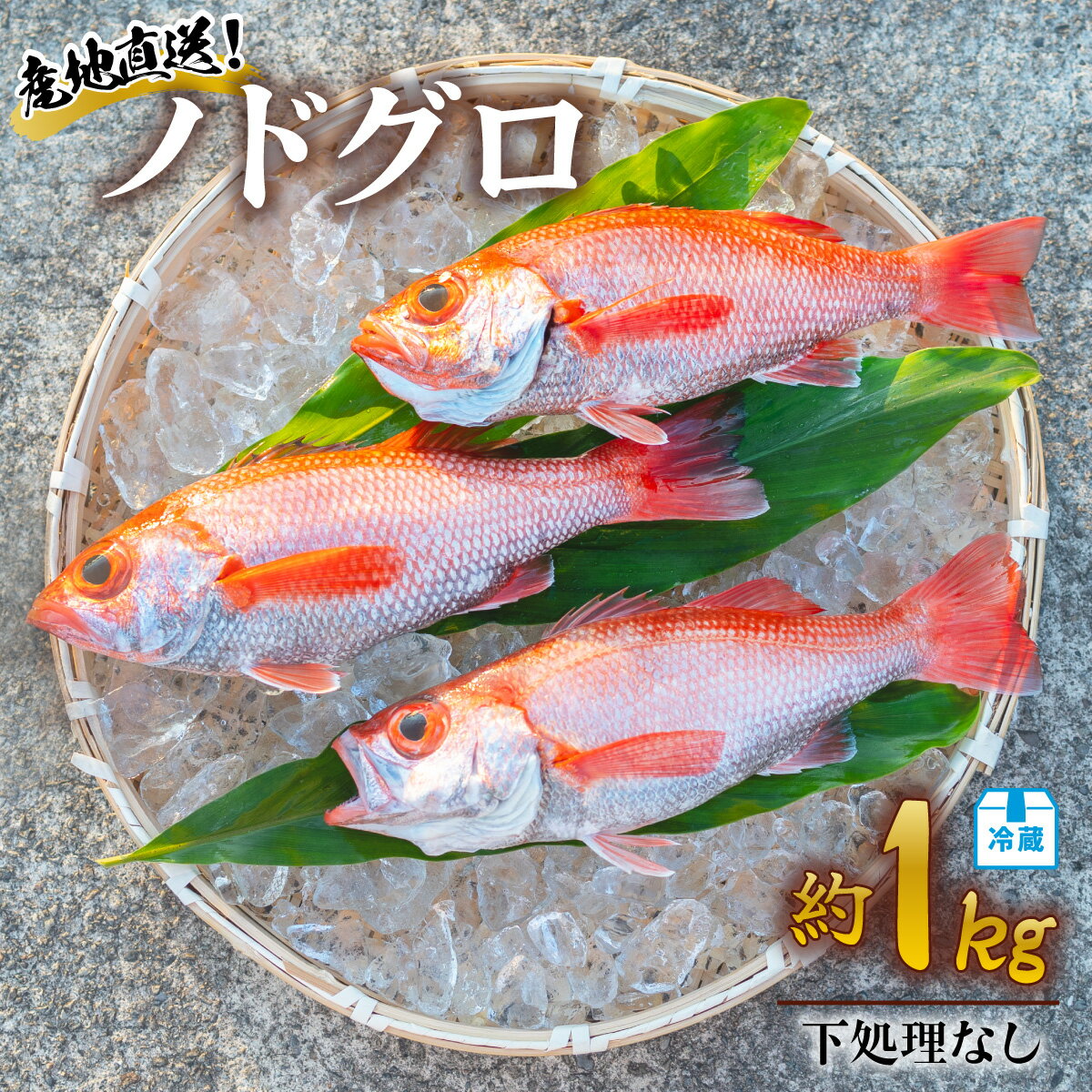 【ふるさと納税】 ノドグロ 約1kg 産地直送 冷蔵 下処理なし 配送月指定可 アカムツ のどぐろ 高級魚 水揚げ時重量約1kg