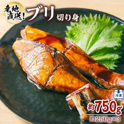 ブリ 切り身 小分け 約750g 約250g×3P 塩焼き 照り焼き 照焼 ぶり 鰤 冷凍