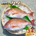 【ふるさと納税】タイ 神経締め 2尾 計約4kg 鯛 たい 真鯛 マダイ 鮮魚 産地直送 冷蔵 養殖 国産 記念日 お食い初め お祝い 祝膳 おせち