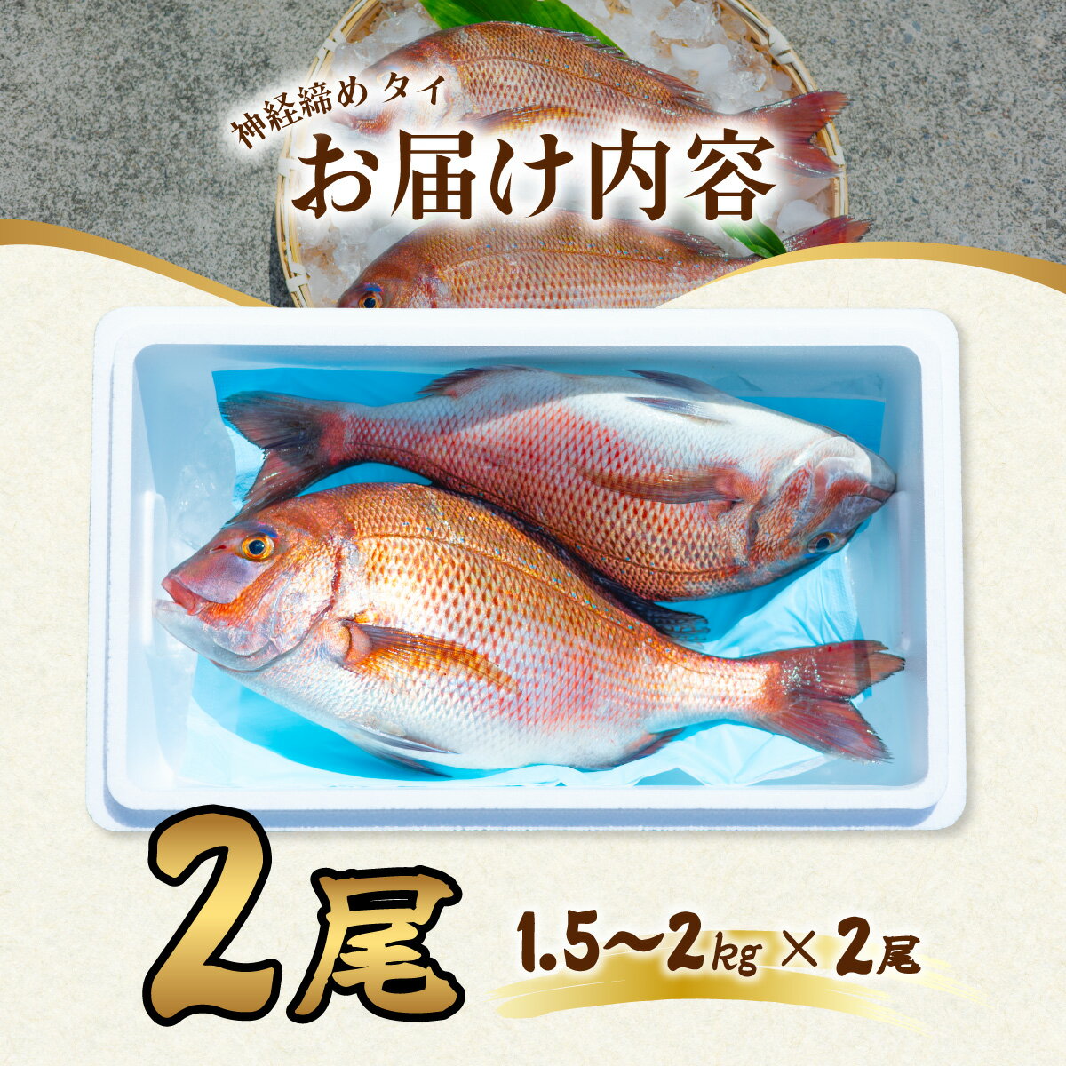 【ふるさと納税】タイ 神経締め 2尾 計約3～4kg 鯛 たい 真鯛 マダイ 鮮魚 産地直送 冷蔵 養殖 国産 記念日 お食い初め お祝い 祝膳 おせち