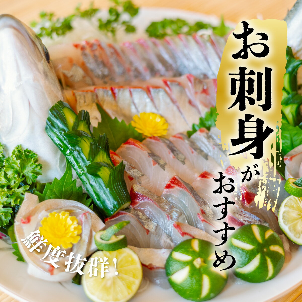 【ふるさと納税】シマアジ 約1.5kg 1尾 しまあじ 縞鯵 高級魚 鮮魚 産地直送 冷蔵 養殖 国産 数量限定