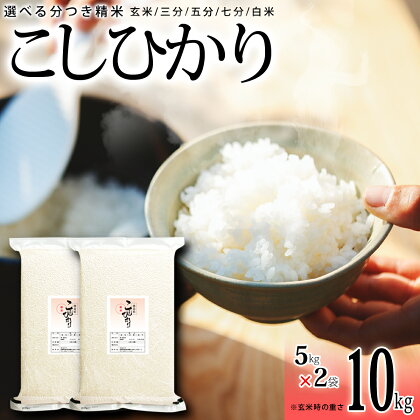 こしひかり 玄米時重量 5kg×2袋 10kg 分づき米 対応可 真空パック コシヒカリ 米 簡易梱包 エコ梱包