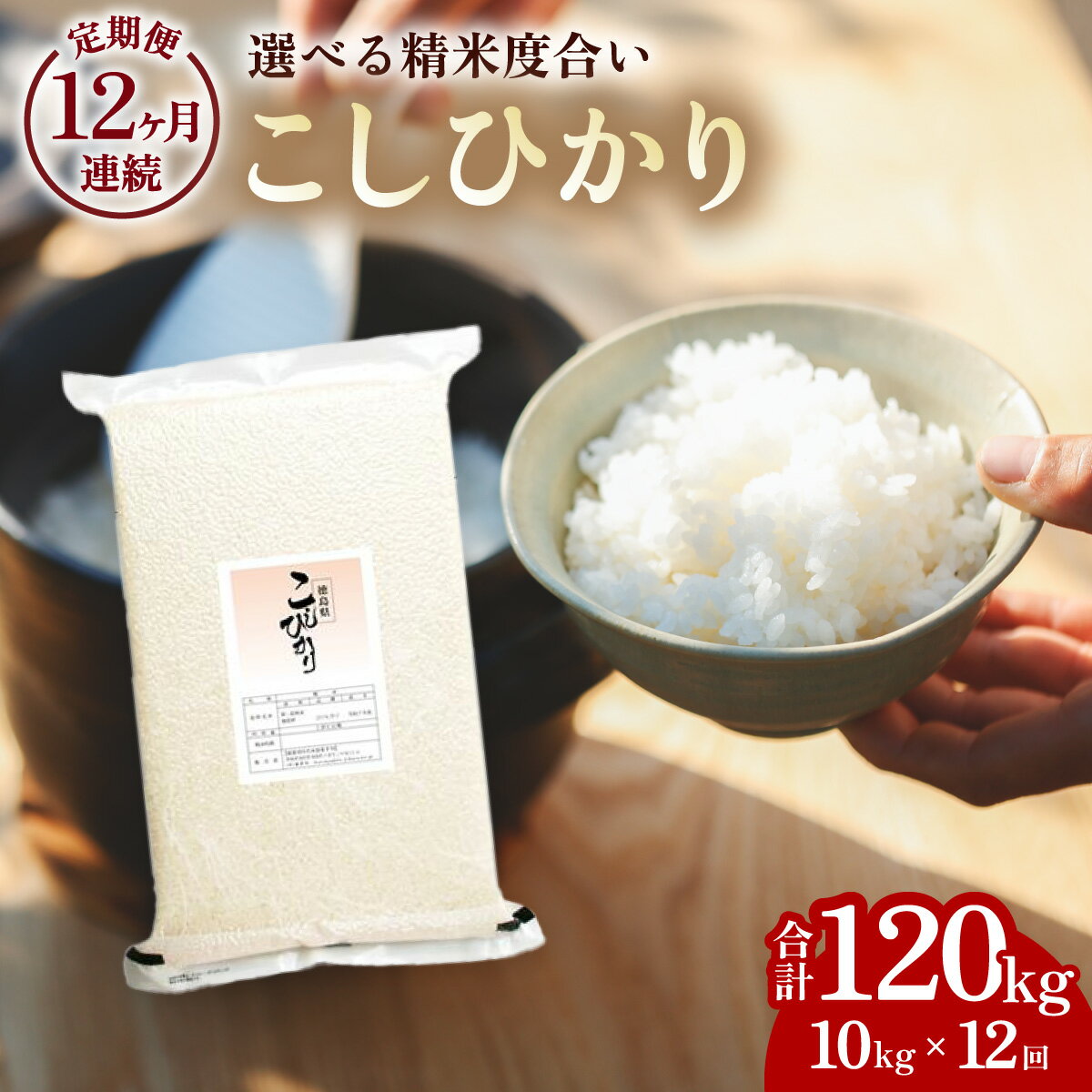 【ふるさと納税】こしひかり 玄米時重量 5kg×2袋×12回 12ヶ月連続 定期便 玄米時重量120...