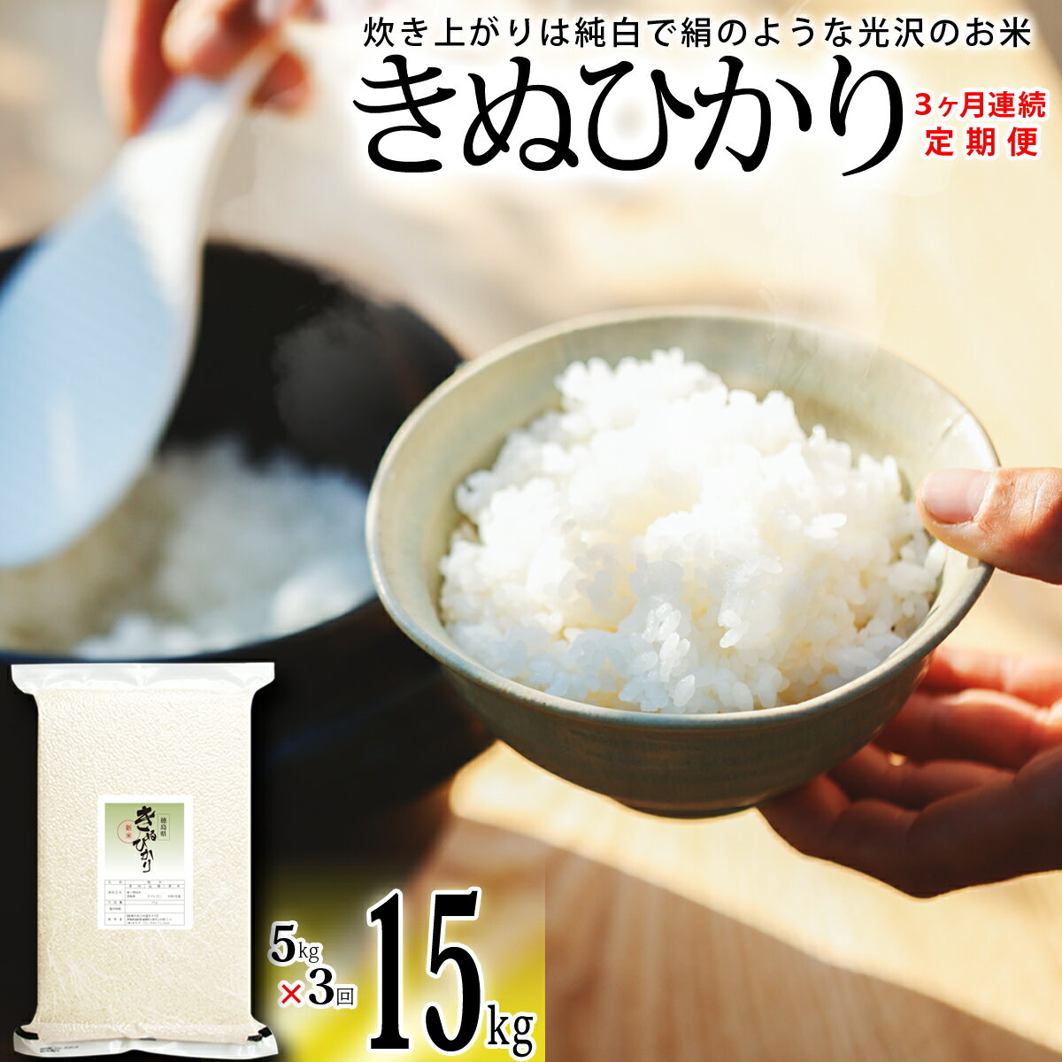 【ふるさと納税】 きぬひかり 白米 5kg×3回 3ヶ月連続 定期便 15kg 真空パック キヌヒカリ 米 簡易梱包 エコ梱包