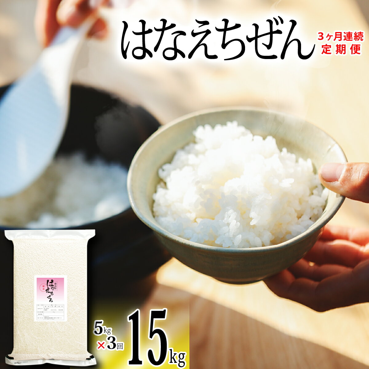 はなえちぜん 白米 5kg×3回 3ヶ月連続 定期便 15kg 真空パック ハナエチゼン 米 簡易梱包 エコ梱包