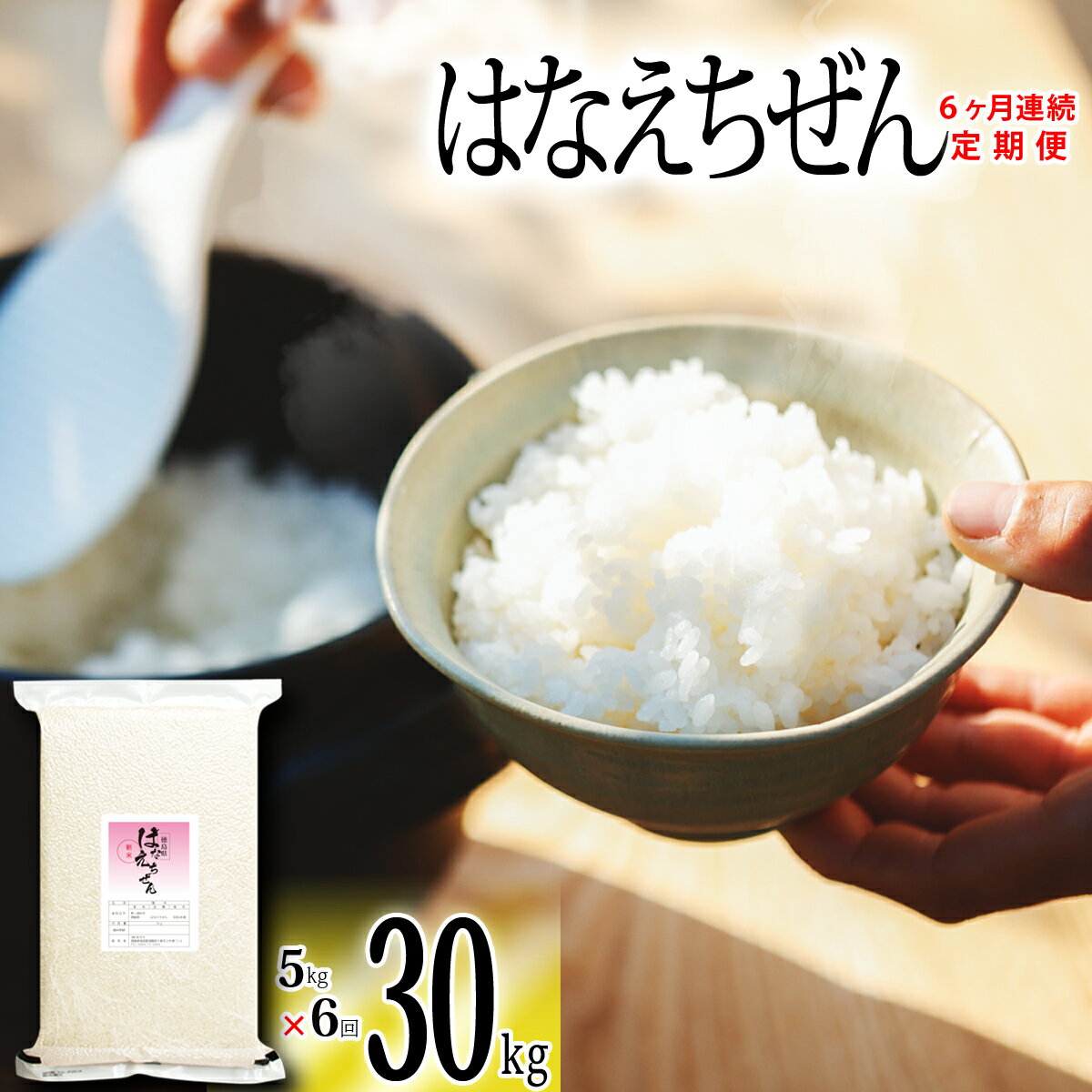 26位! 口コミ数「0件」評価「0」 はなえちぜん 白米 5kg×6回 6ヶ月連続 定期便 30kg 真空パック ハナエチゼン 米 簡易梱包 エコ梱包