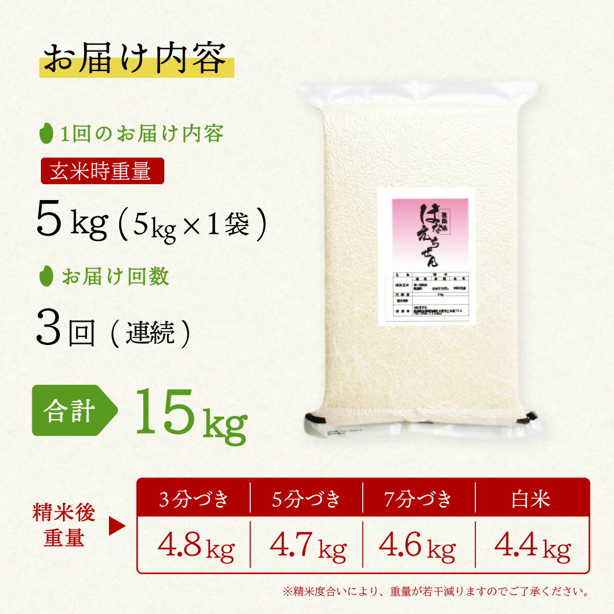 【ふるさと納税】はなえちぜん 白米 5kg×3回 3ヶ月連続 定期便 15kg 真空パック ハナエチゼン 米 簡易梱包 エコ梱包