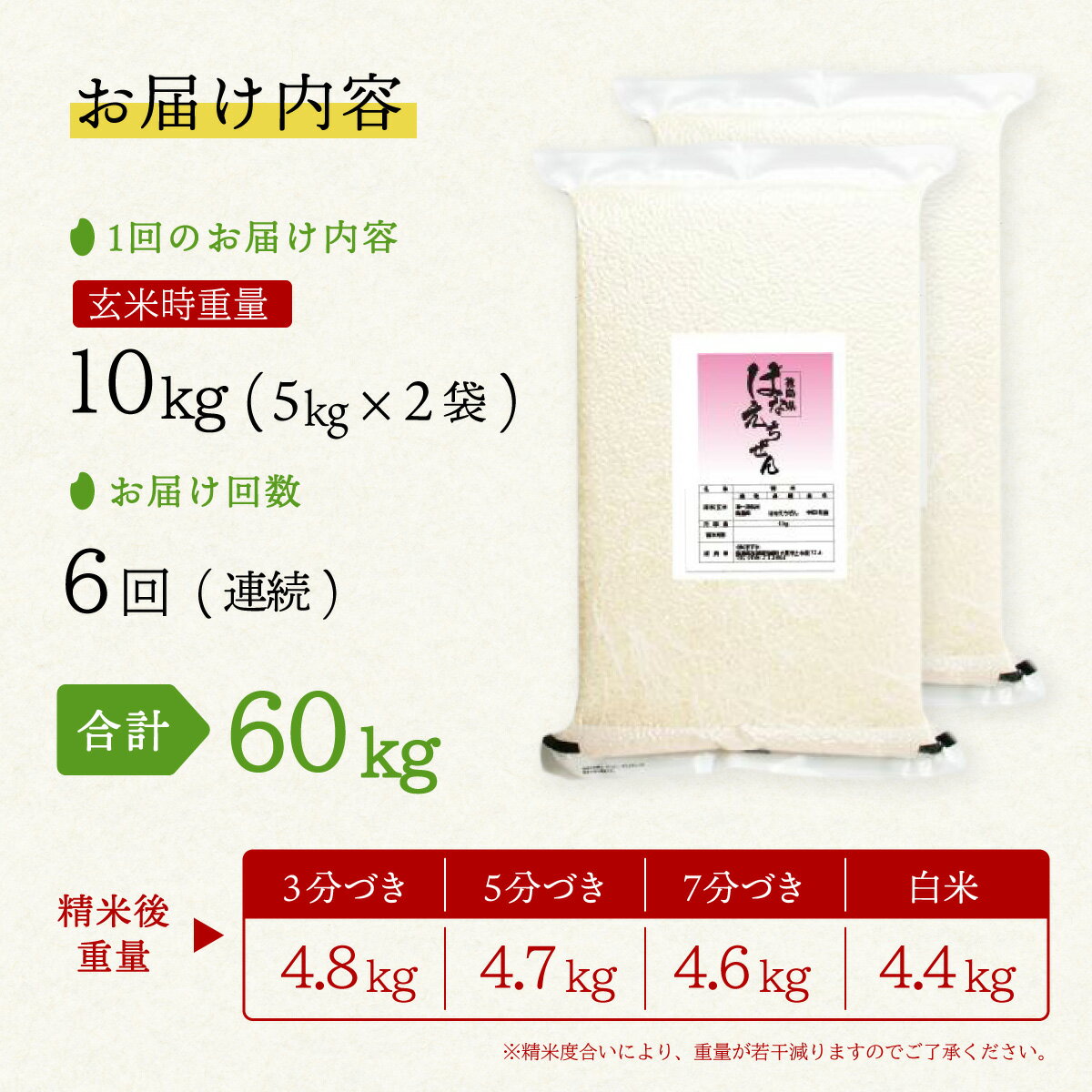 【ふるさと納税】はなえちぜん 白米 5kg×2袋×6回 6ヶ月連続 定期便 60kg 真空パッ...
